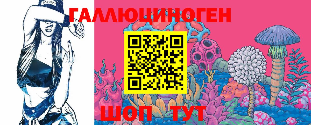 Псилоцибиновые грибы Psilocybine cubensis  Вход с VPN  Выборг 